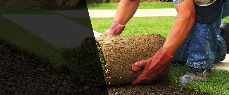 Deridder Landscapers